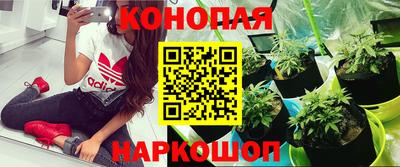 прущие грибы Беслан