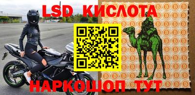 jwh Бийск