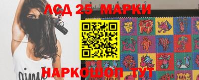jwh Бийск