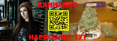 jwh Бийск
