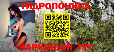 дмт Берёзовский