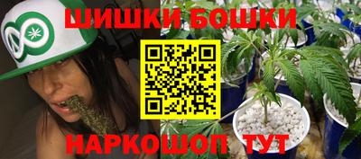 прущие грибы Беслан