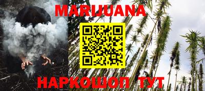 jwh Бийск