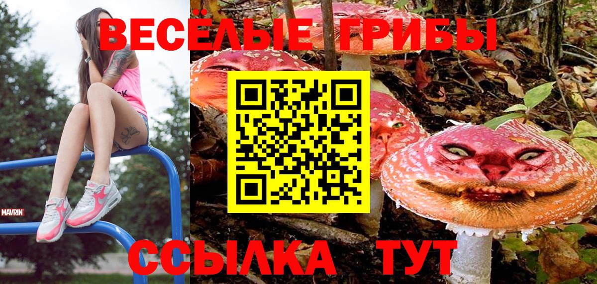 Галлюциногенные грибы Psilocybe  Вход с VPN  Березники 